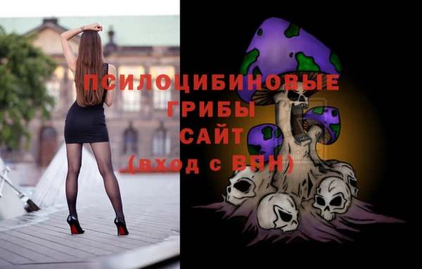 молекула духа Сосновый Бор