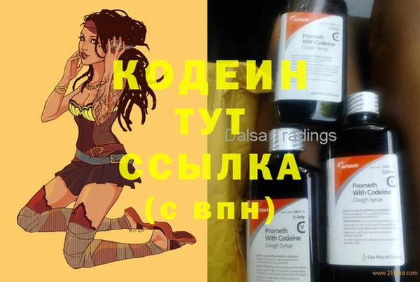 молекула духа Сосновый Бор